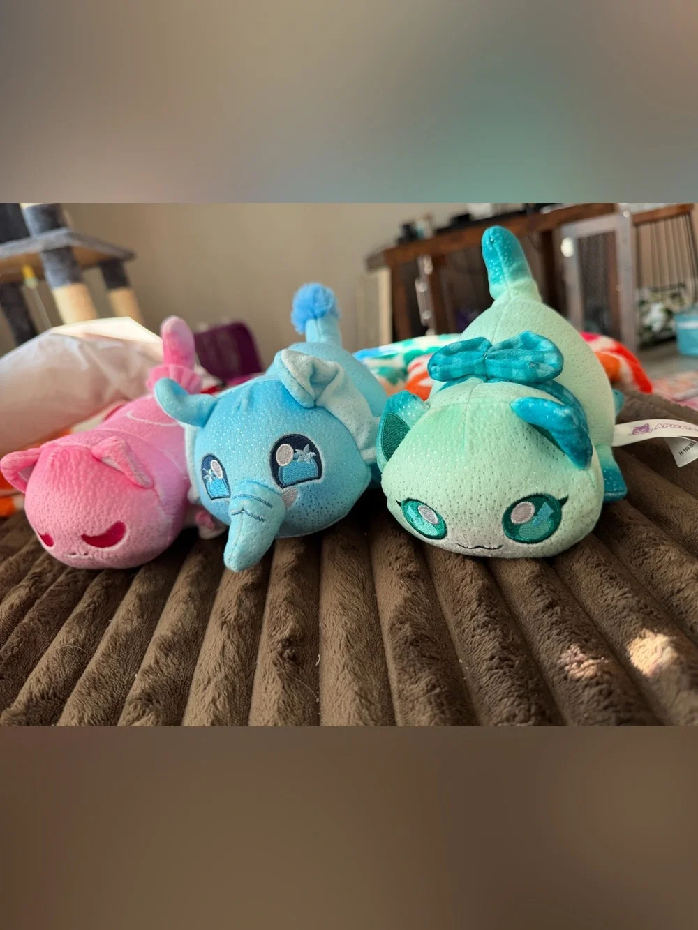 Aphmau Meemeow Bundle